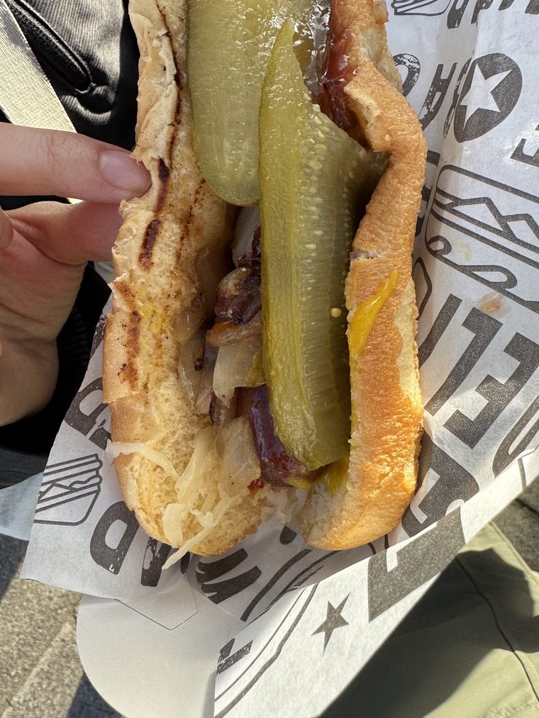 A hot dog topped with a whole sliced gherkin, cheese and onions